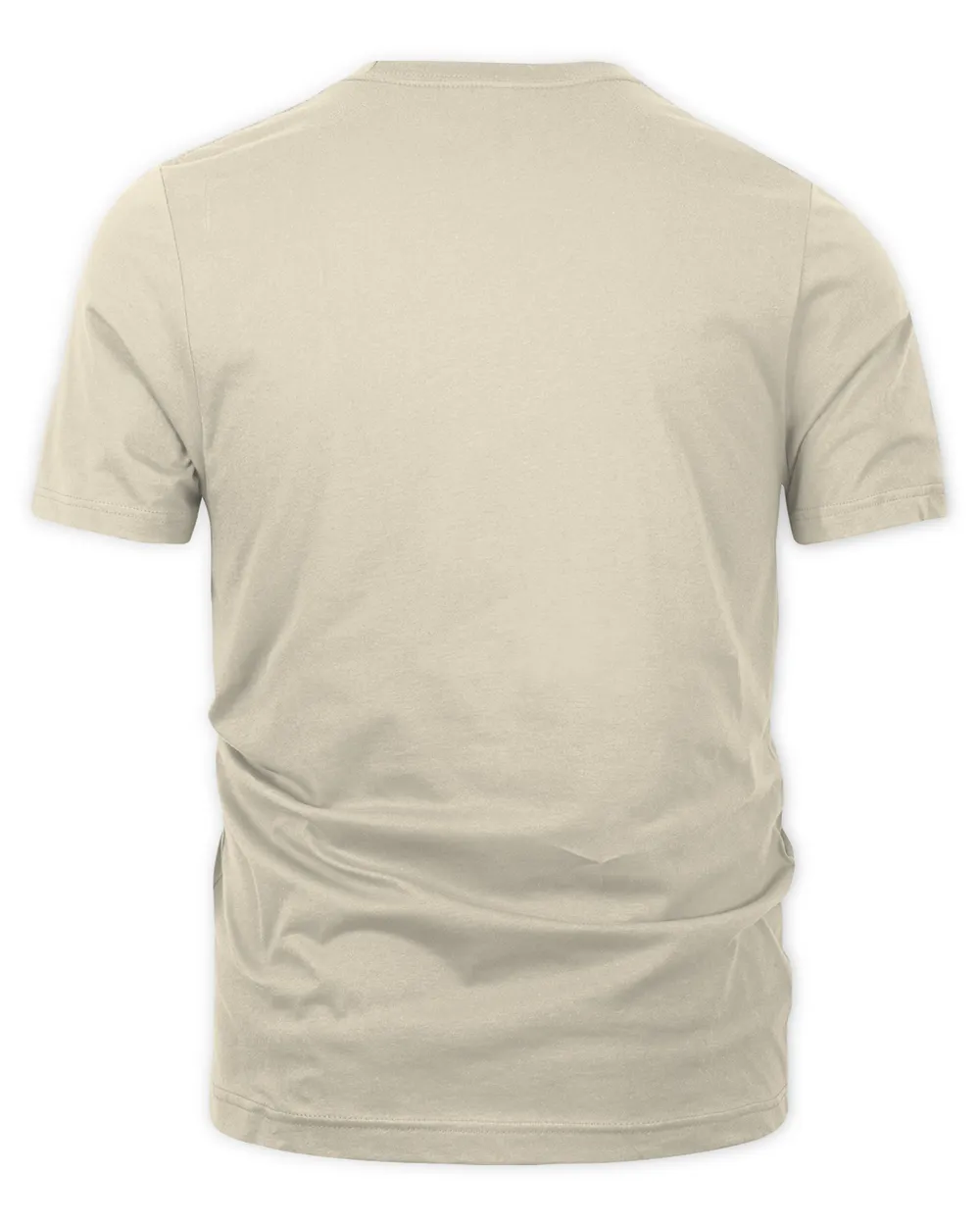 Y2k Fashion Human Development 1996 T-shirt Unisex Premium T-Shirt natural s