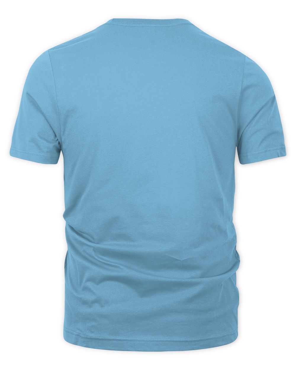 Y2k Fashion Human Development 1996 T-shirt The Organic Unisex T-shirt aqua-blue s
